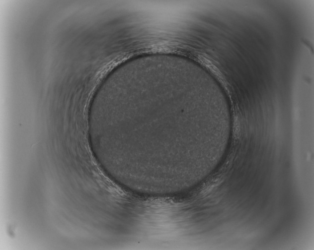 X0000102380673200808221803