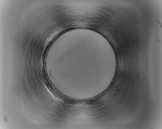 X0000102380674200808221803