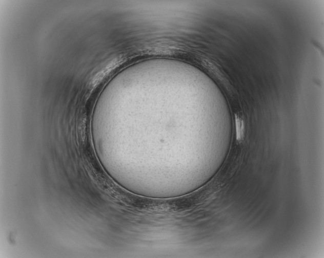 X0000102380675200808221803