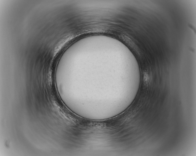 X0000102380676200808221803