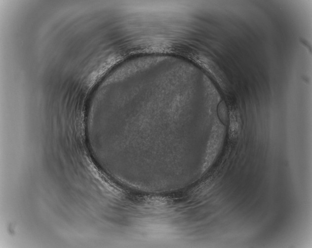 X0000102380677200808221803