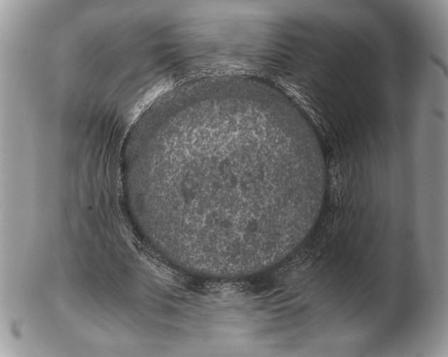 X0000102380679200808221803