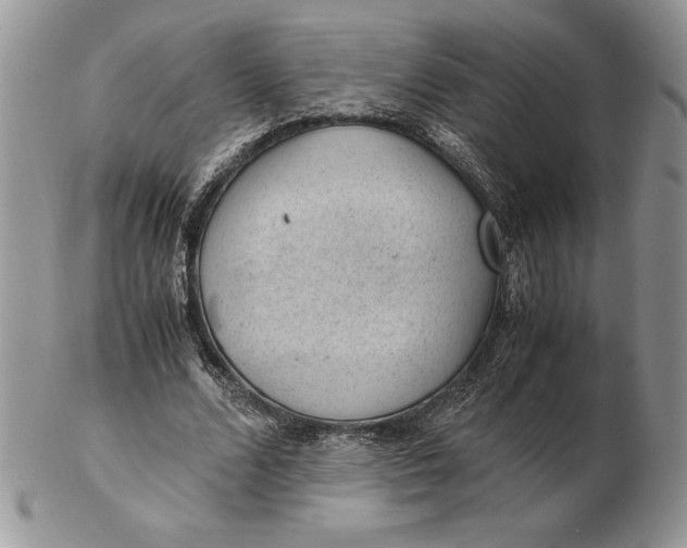 X0000102380680200808221803