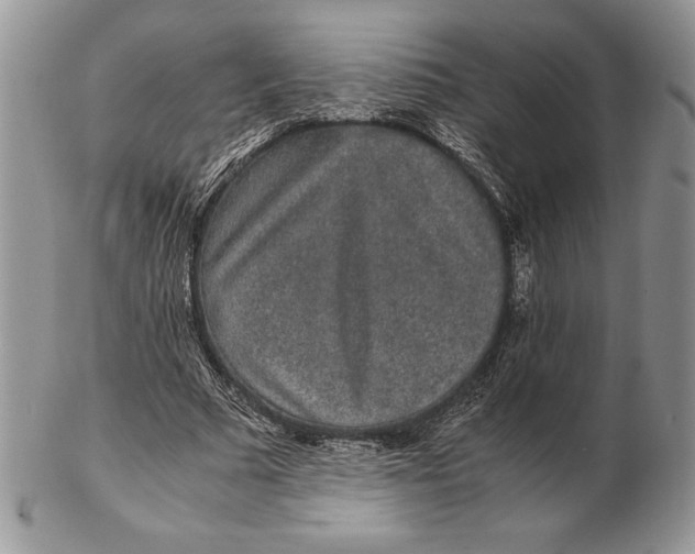 X0000102380681200808221803