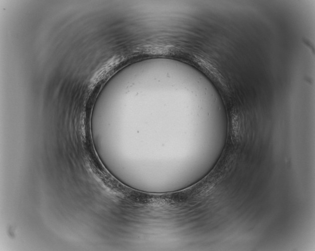 X0000102380682200808221802