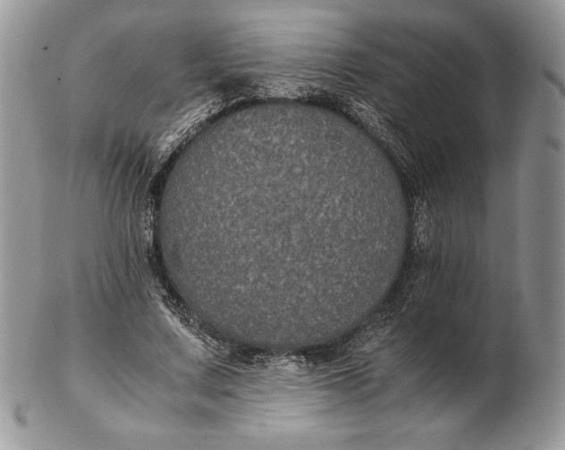 X0000102380683200808221802