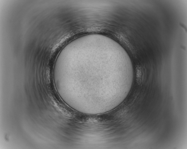 X0000102380684200808221802