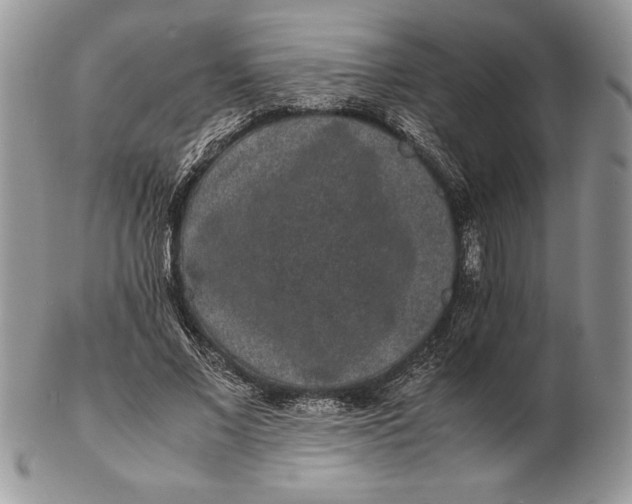 X0000102380685200808221802