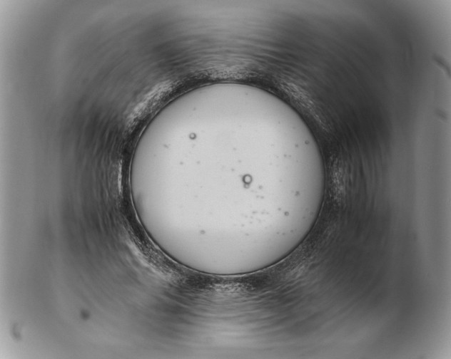 X0000102380686200808221802