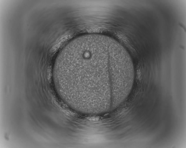 X0000102380687200808221802