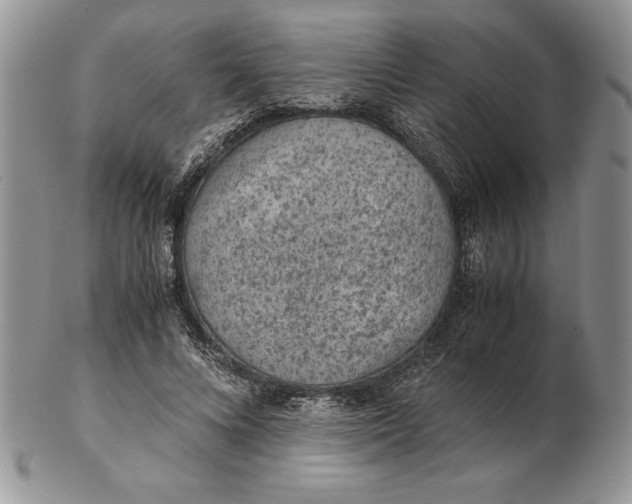 X0000102380688200808221802