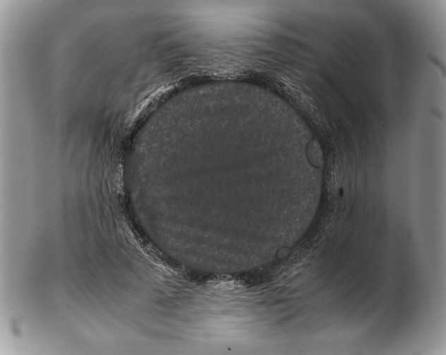 X0000102380689200808221802