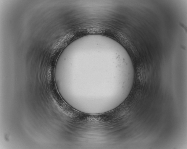 X0000102380690200808221802