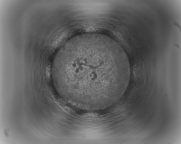 X0000102380691200808221802