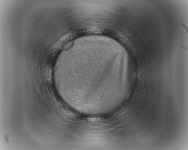 X0000102380693200808221802