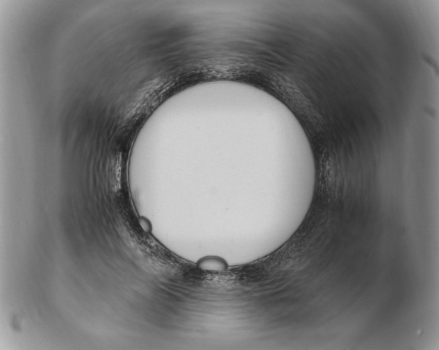 X0000102380694200808221802