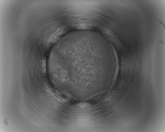 X0000102380696200808221802