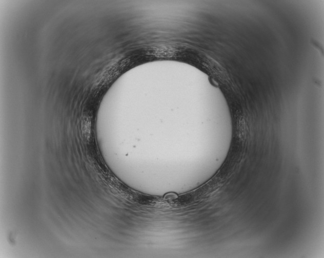 X0000102380697200808221802