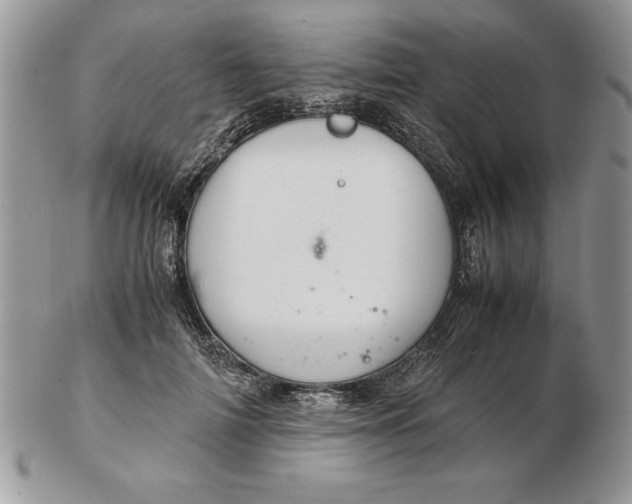 X0000102380698200808221802