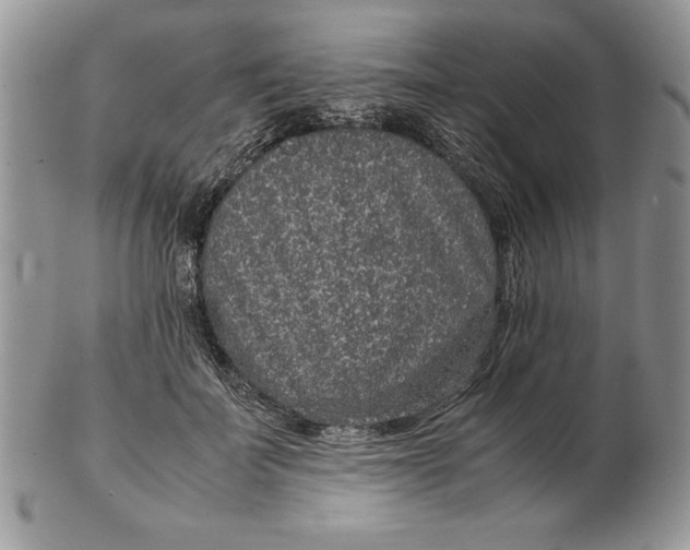 X0000102380699200808221802