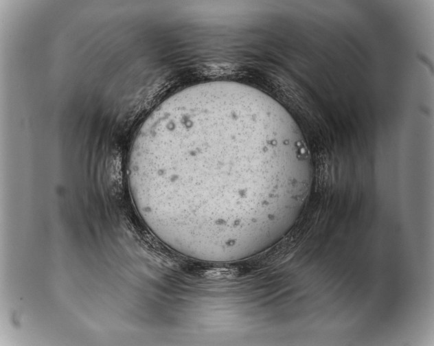 X0000102380700200808221802