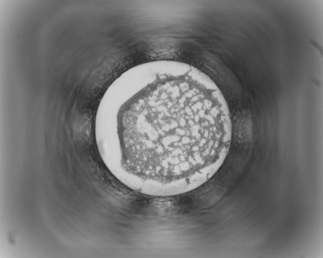 X0000102380701200808221802