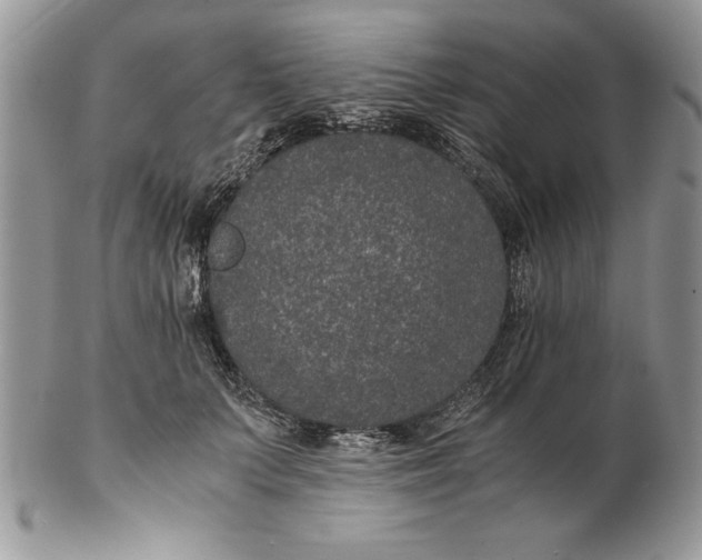 X0000102380703200808221802