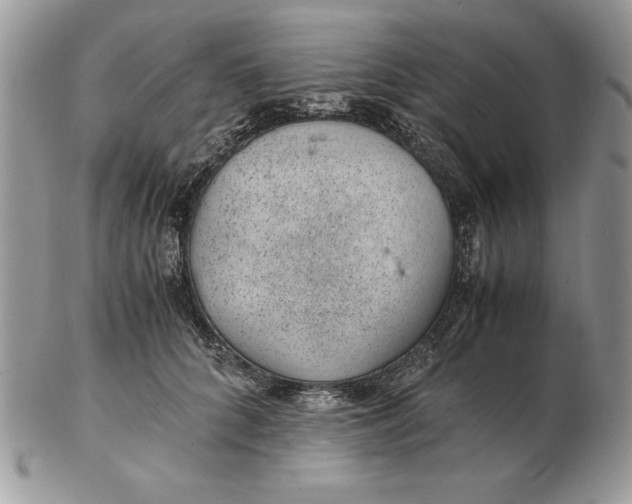 X0000102380704200808221802