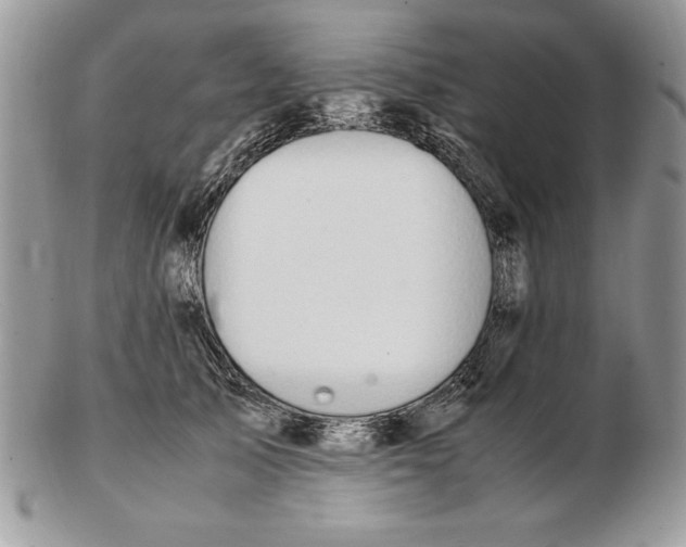 X0000102380705200808221802