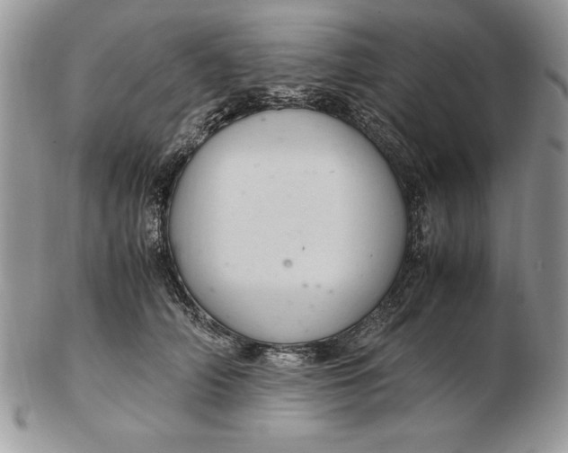 X0000102380706200808221802