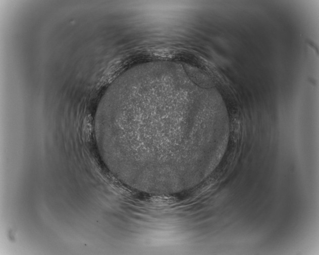 X0000102380707200808221802