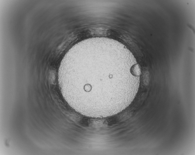 X0000102380709200808221802