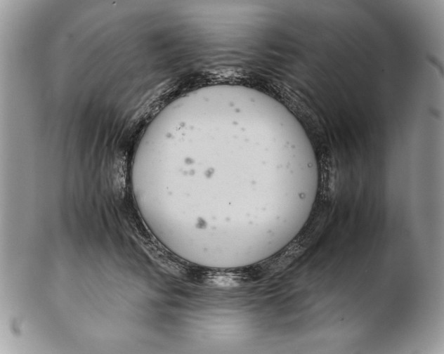 X0000102380710200808221802