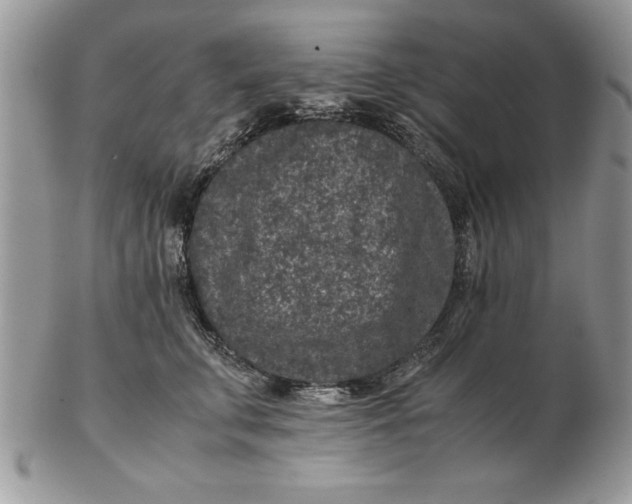 X0000102380711200808221802