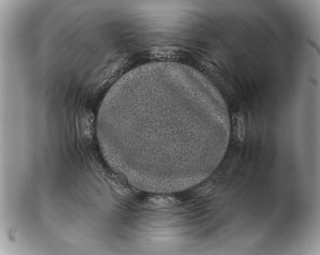 X0000102380712200808221802