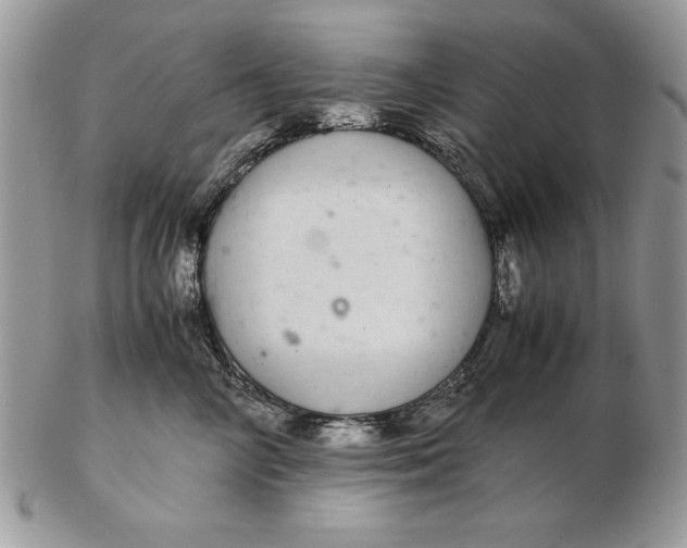 X0000102380714200808221802