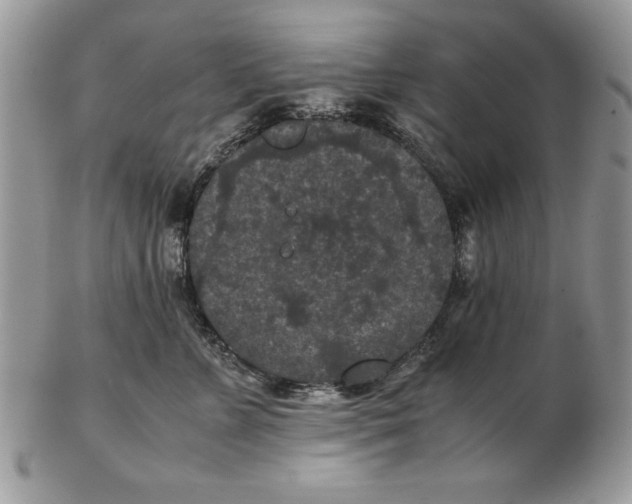 X0000102380715200808221802