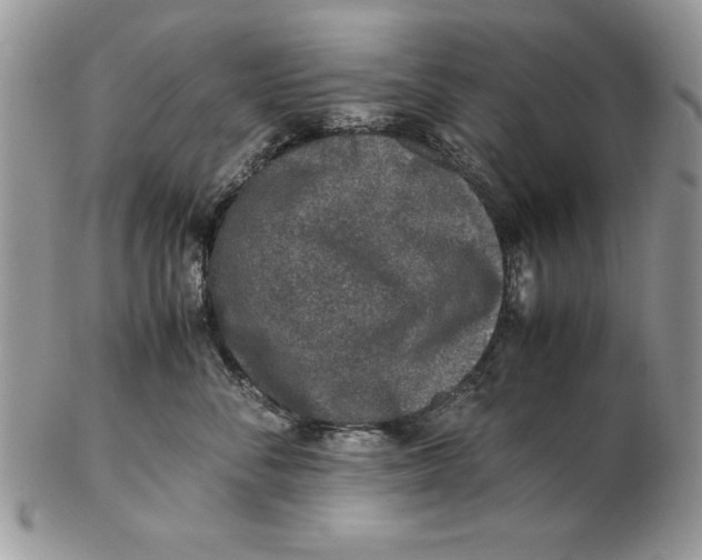 X0000102380716200808221802