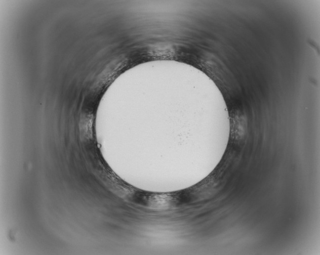 X0000102380717200808221802