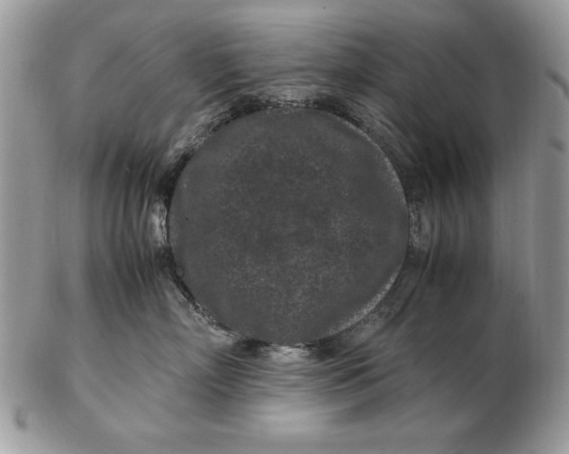 X0000102380718200808221802