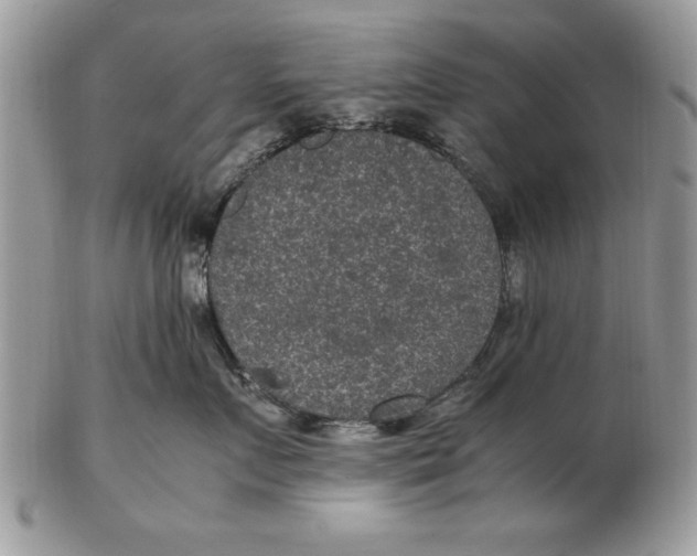 X0000102380719200808221802