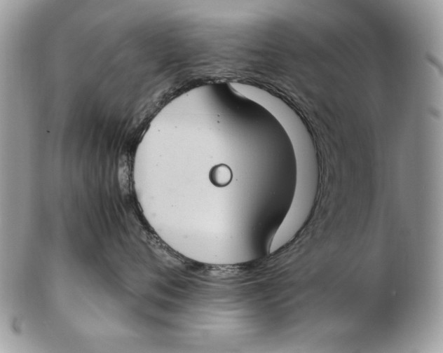 X0000102380720200808221802