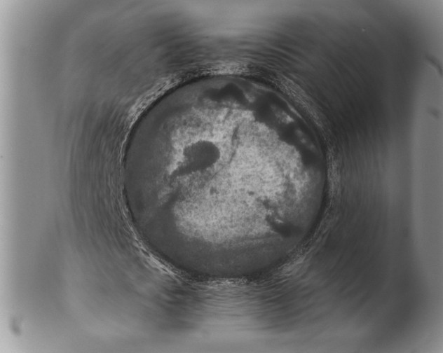 X0000102380721200808221801