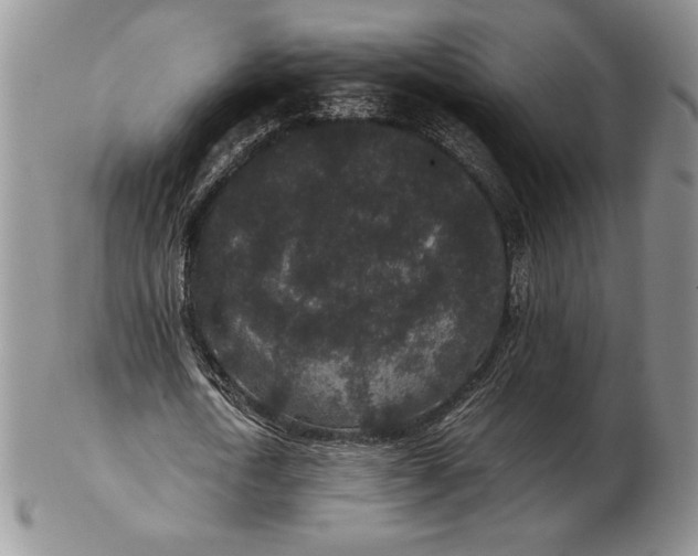 X0000102380722200808221801