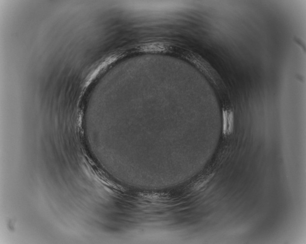 X0000102380723200808221801