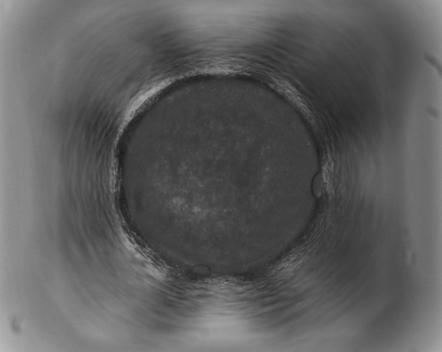 X0000102380724200808221801