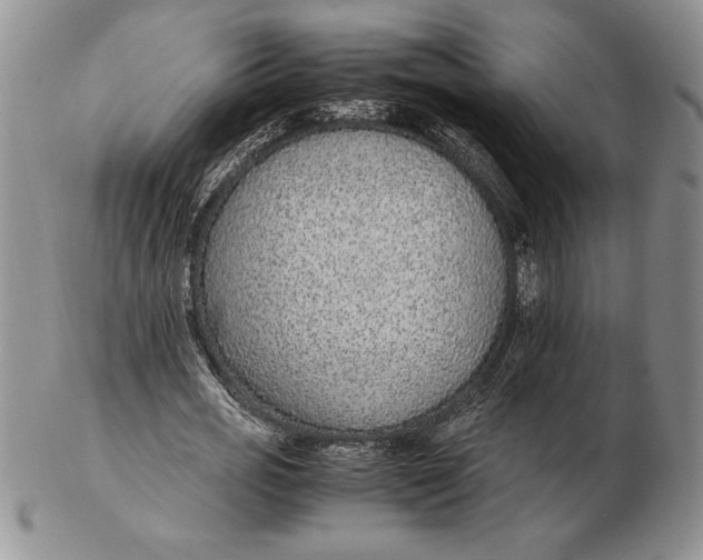 X0000102380725200808221801