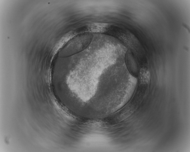 X0000102380726200808221801