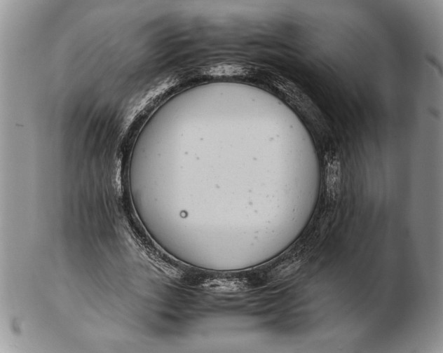 X0000102380727200808221801