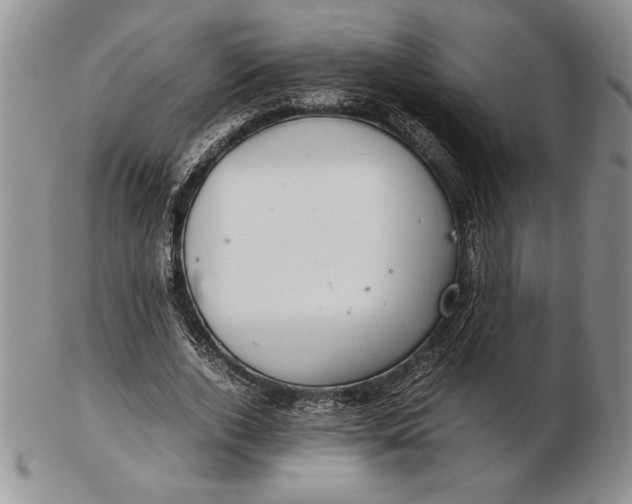 X0000102380728200808221801